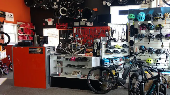 Sussex Bike & Sport Shop Picture 4
