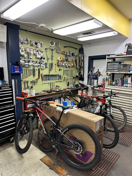 Town Cycle - Bike Sales, Parts, & Accessories Picture 9