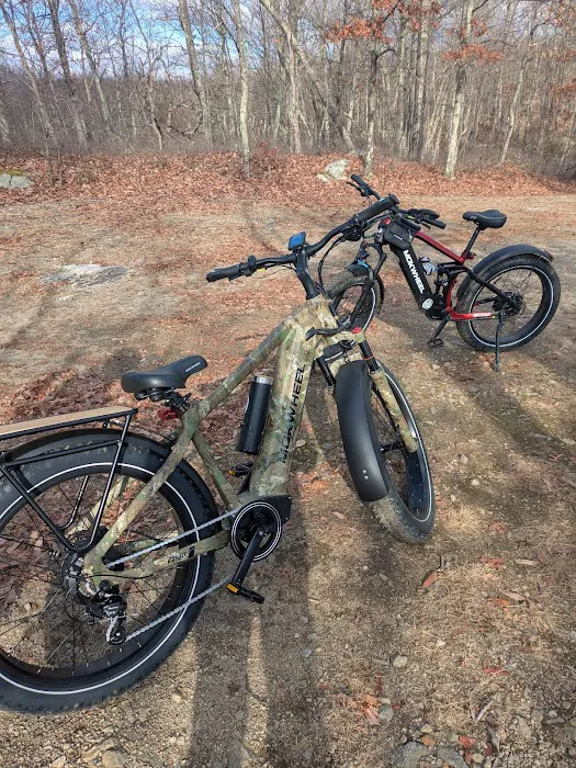 Max's Electric Bikes Picture 4
