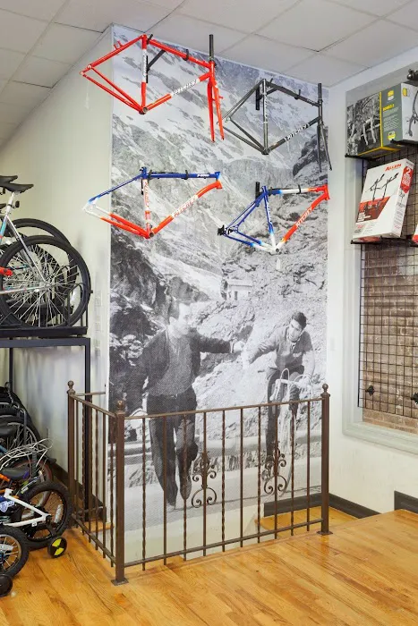 Bike Ahead Picture 1