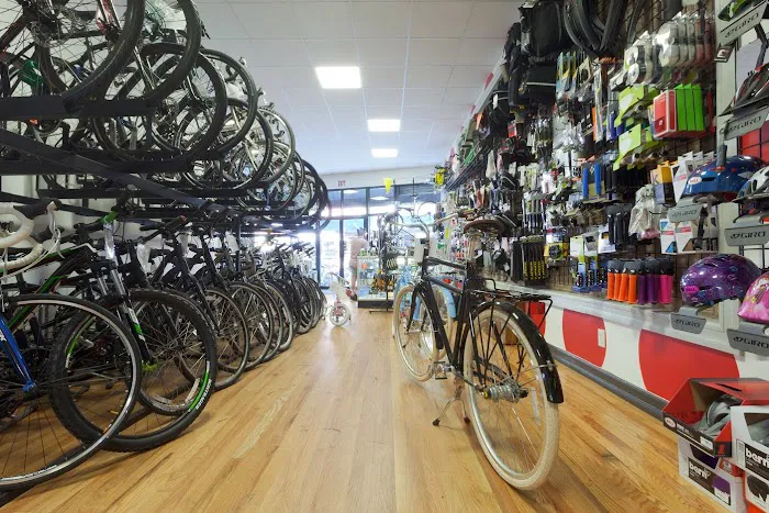 Bike Ahead Picture 4