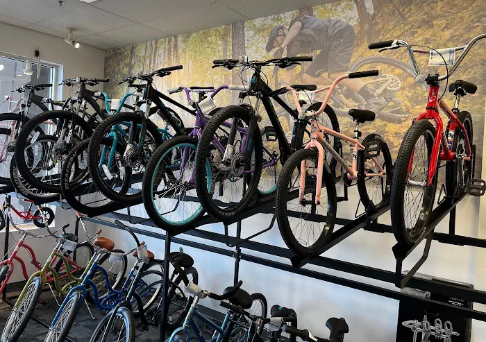 Pedal Sports Picture 4
