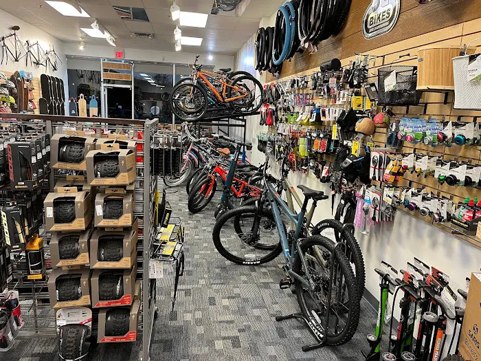 Pedal Sports Picture 3