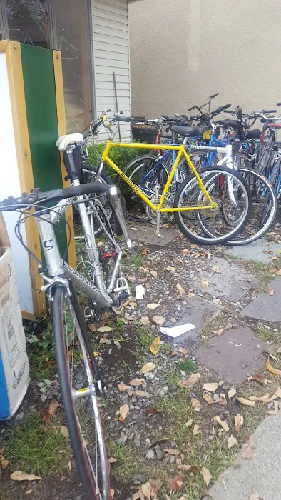 Bike Pad Picture 8