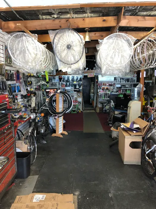 Ferrara Cycle Shop Picture 6