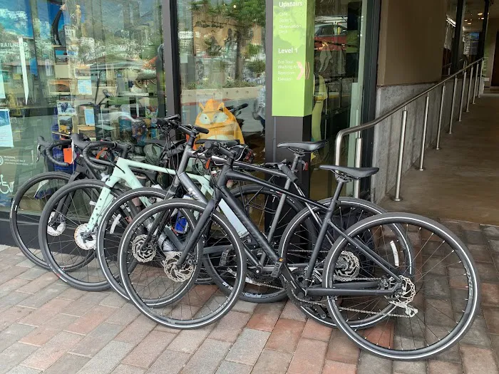 JOY IN MOTION - BICYCLE SHOP Picture 1