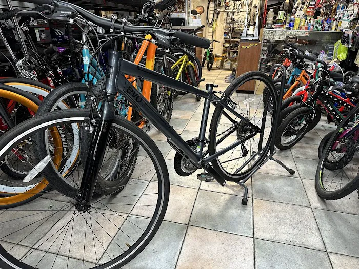 Two Wheels Of Brooklyn Picture 7