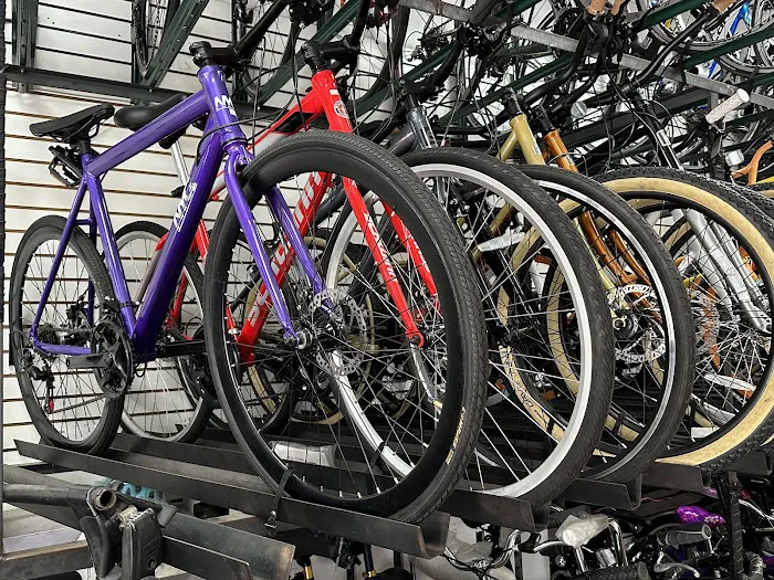 Two Wheels Of Brooklyn Picture 8