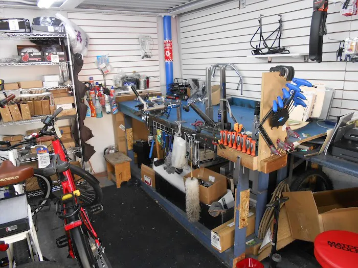 Greenpath Electric Bikes Picture 5