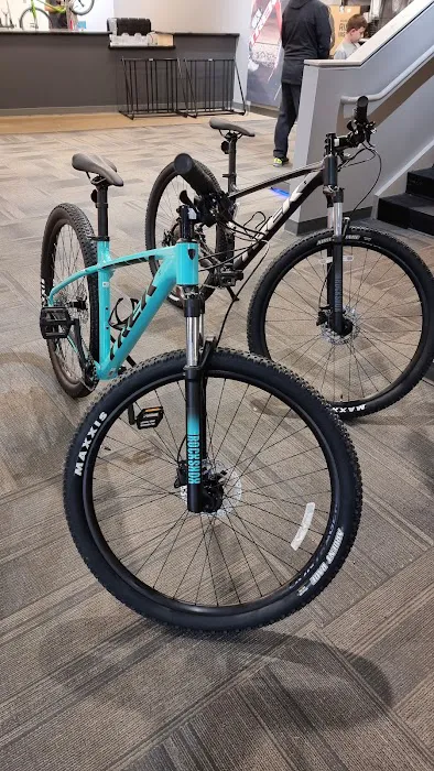 Trek Bicycle Towson Picture 3