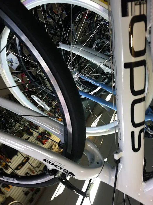 Pikesville Bicycle Shop Picture 8