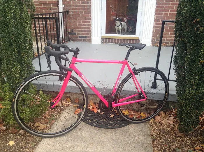 Cutlass Velo (Appointment Only) Picture 10