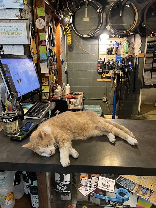 Baltimore Bicycle Works Picture 4