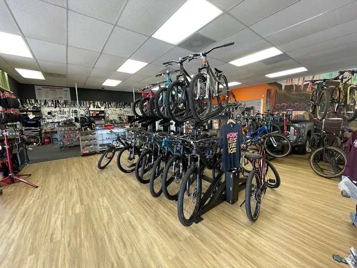 Dirt Rooster Bicycles Picture 3