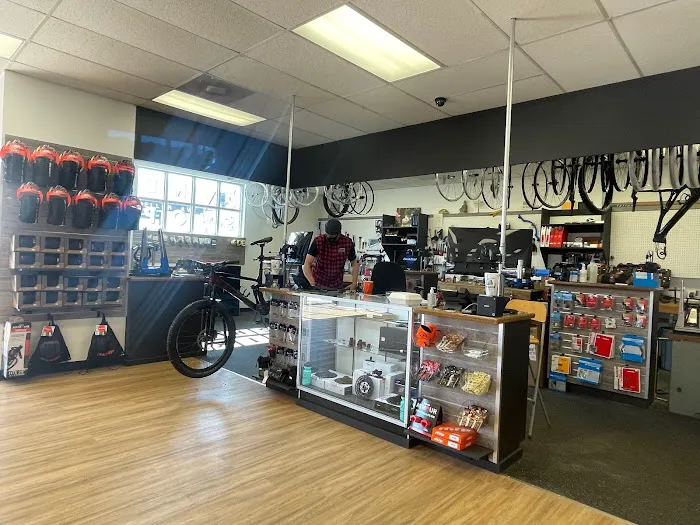 Dirt Rooster Bicycles Picture 6