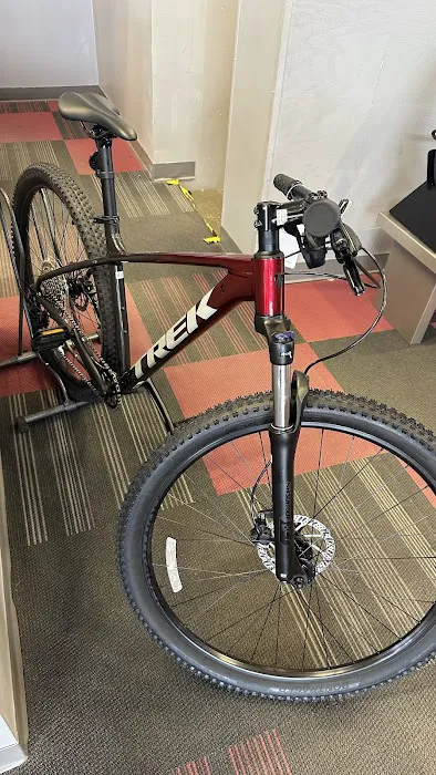 Trek Bicycle Ellicott City Picture 5