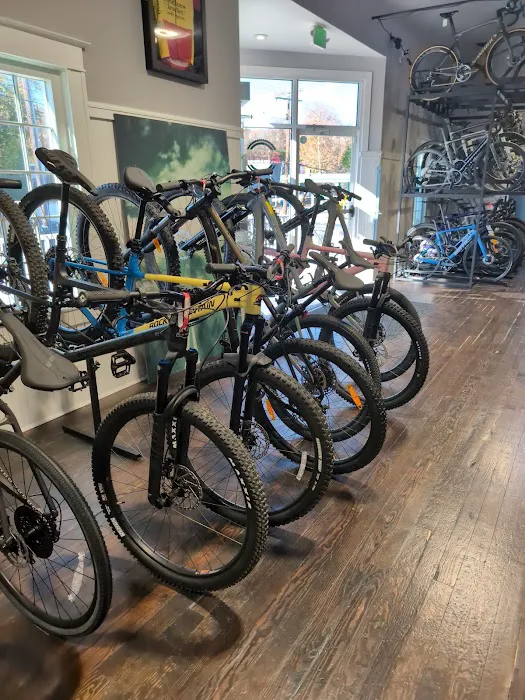 Patapsco Bicycles -Elkridge Picture 10