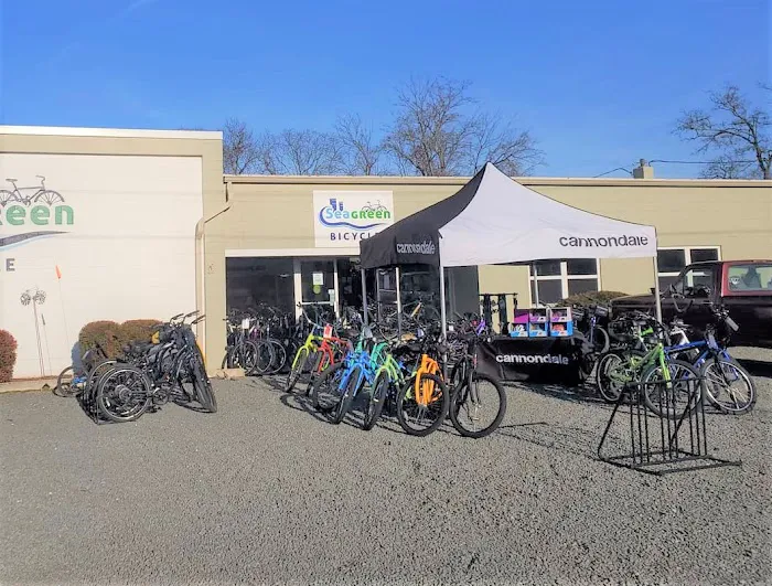Seagreen Bicycle Picture 2