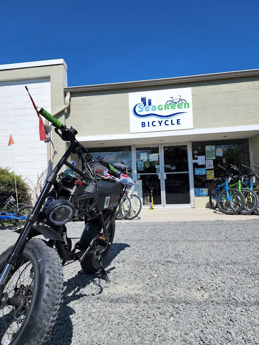 Seagreen Bicycle Picture 1