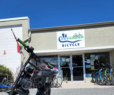 Seagreen Bicycle