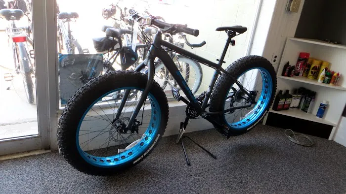 Seagreen Bicycle Picture 6