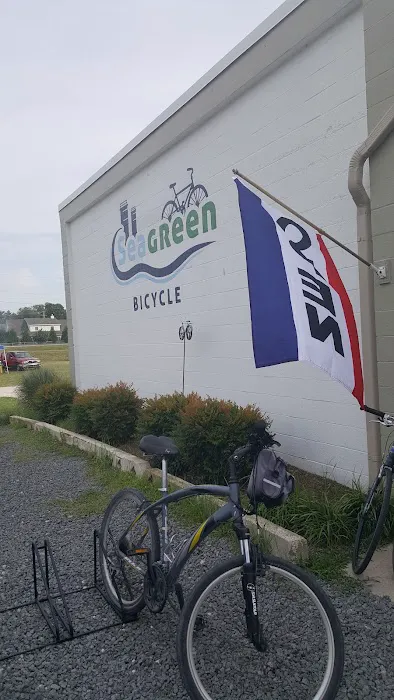 Seagreen Bicycle Picture 7