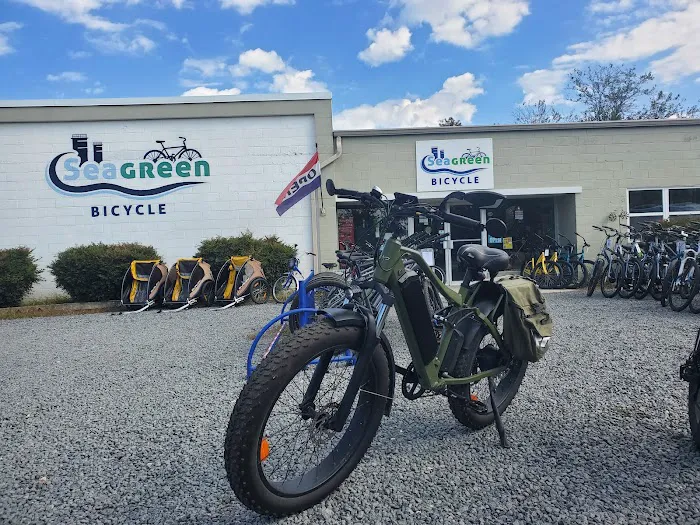 Seagreen Bicycle Picture 9