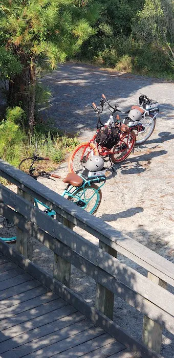 Pedaltec Electric Bikes Picture 10