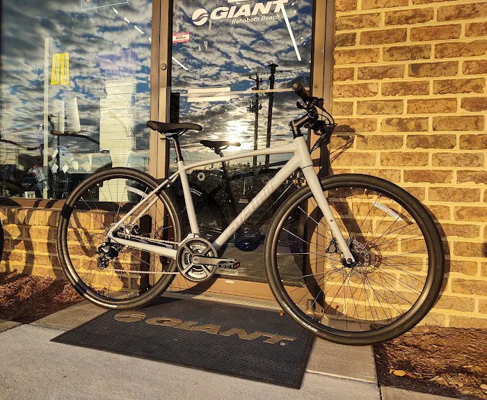Seagreen Bicycle / Hebron Rd Picture 6