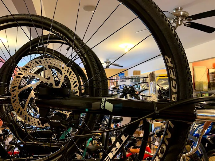 All Wheels Bike Shop Picture 2