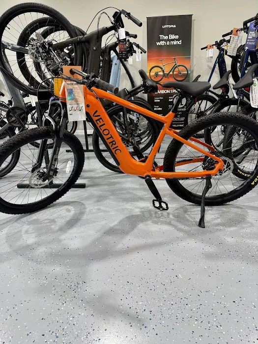 Seaside Eco Bikes Picture 1