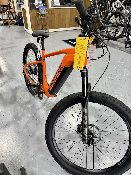 Seaside Eco Bikes Picture 2