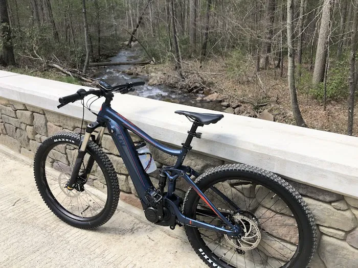 Quick Release Bicycles Picture 6