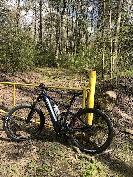 Quick Release Bicycles Picture 9