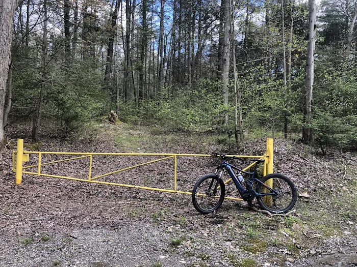 Quick Release Bicycles Picture 8