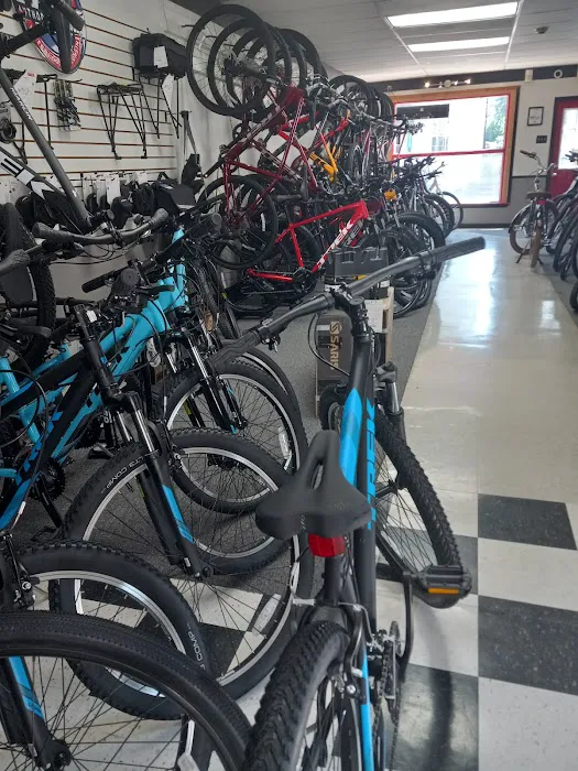 Family Cycling Center Picture 8
