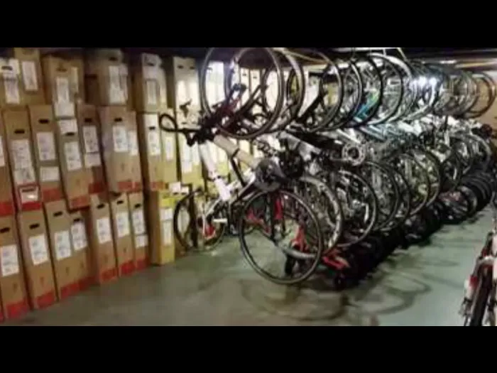 Flo on Wheels Cycles Picture 3