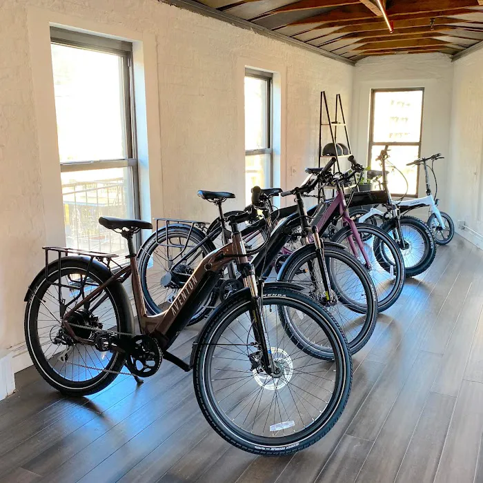 Hudson E-Bike Picture 3