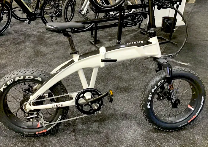 Hudson E-Bike Picture 6