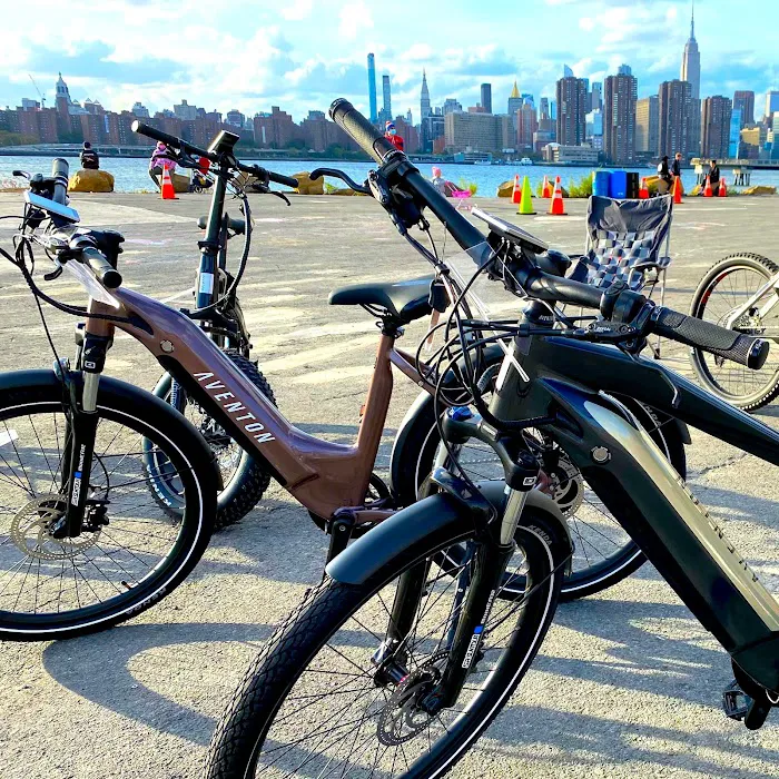 Hudson E-Bike Picture 9