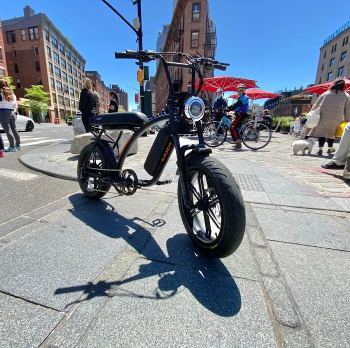 Hudson E-Bike Picture 7
