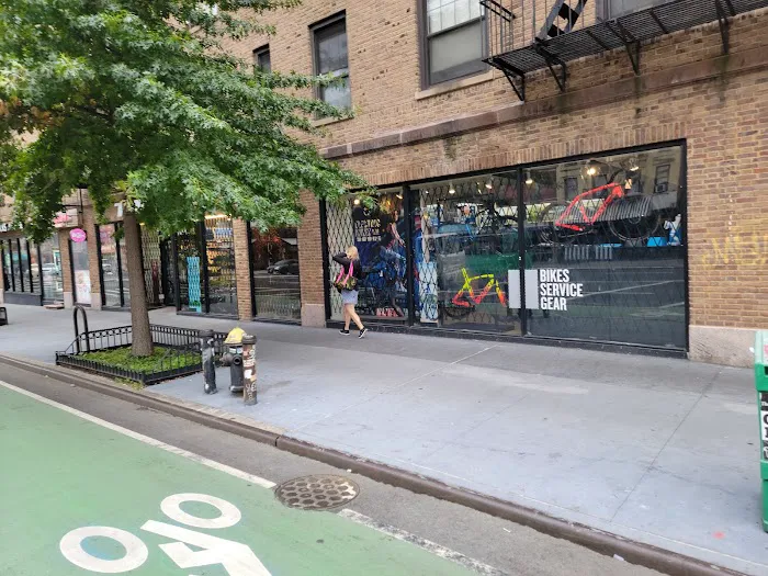 Trek Bicycle Chelsea Picture 4