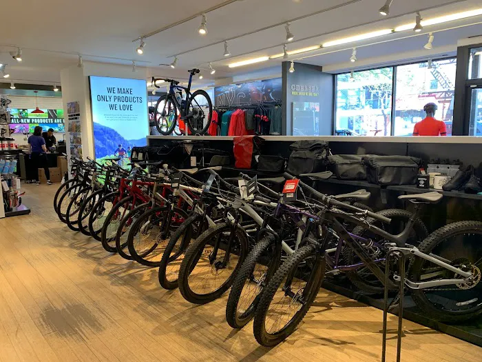 Trek Bicycle Chelsea Picture 1