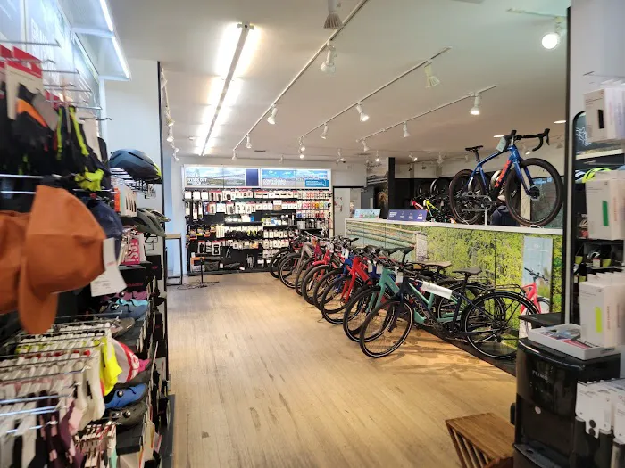 Trek Bicycle Chelsea Picture 8