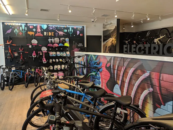 Trek Bicycle Chelsea Picture 6