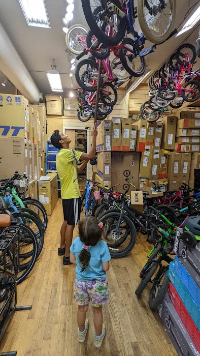 Bicycle Habitat Picture 8