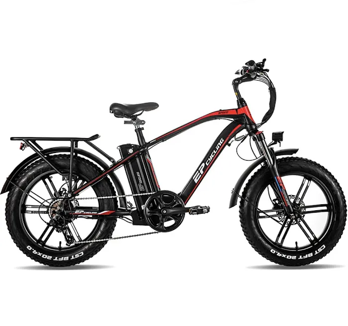 Monroe Ride Electric Bike Picture 8
