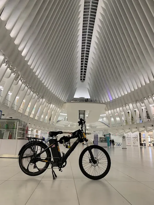 Hao Jian Tou Bicycle Picture 2