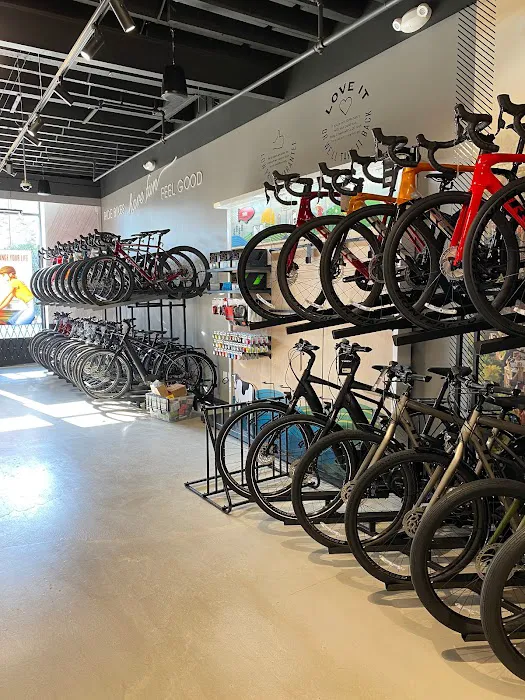 Trek Bicycle Cobble Hill Picture 2