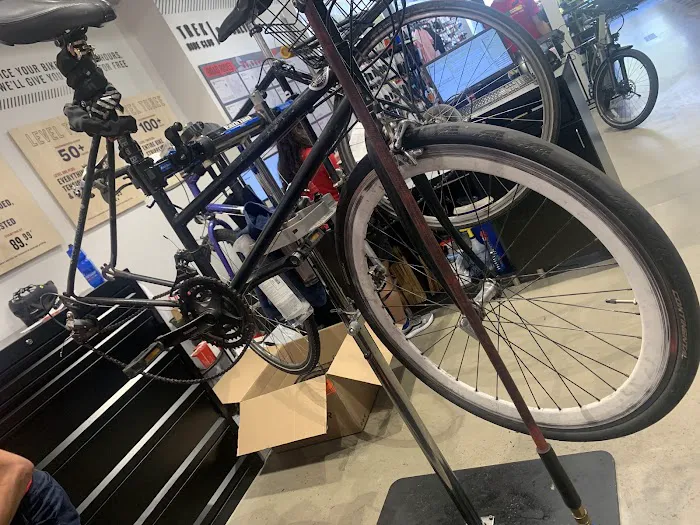 Trek Bicycle Cobble Hill Picture 5